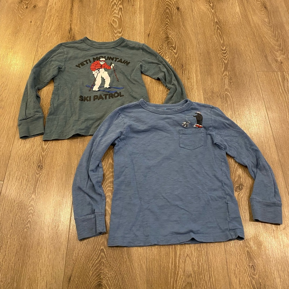 Crewcuts Long Sleeve graphic Shirts set of 2